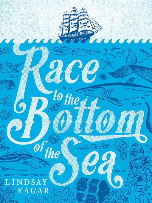 Cover image for Race to the Bottom of the Sea